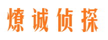 城厢市调查公司